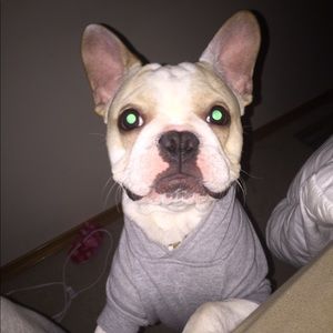 Meet your Posher, Chico